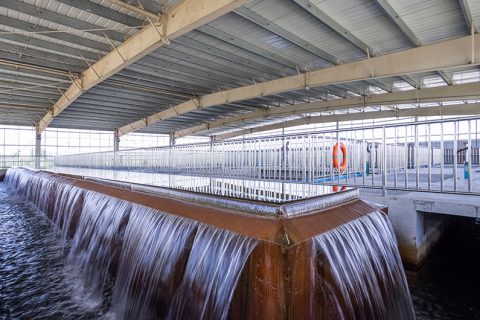 怎么保养多功效微型过滤机？？？